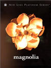 magnolia.jpg