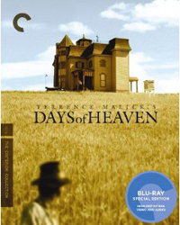 Days-of-Heaven-BD-WEB_1.jpg
