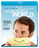 Wonderful World Blu-ray 
