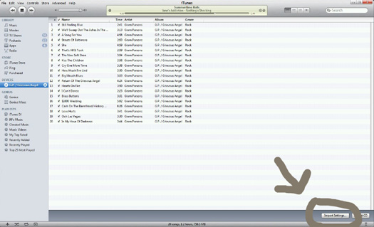 iTunes Import Settings button