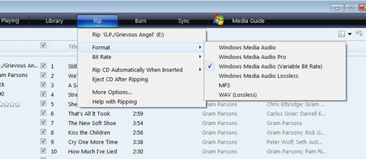 Windows Media Player Format options