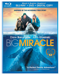 BigMiracle.jpg