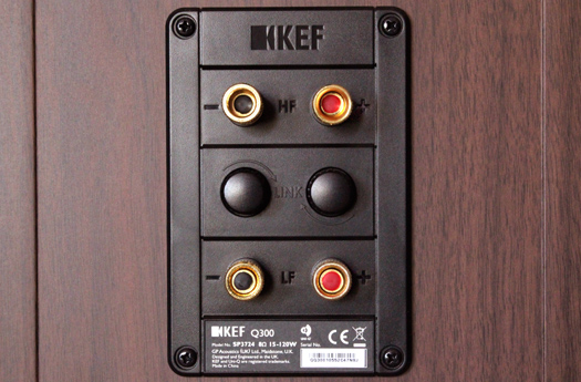 KEF Q300 Back panel