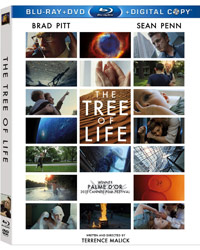 Tree-of-Life-BD-WEB.jpg