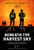 Beneath_the_Harvest_Sky.jpg