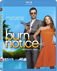 Burn-Notice-S2-BD-WEB.jpg
