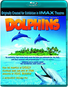 dolphins.jpg