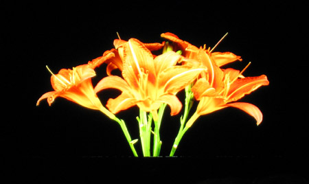 sim2-dolby-hdr-screen-image.jpg