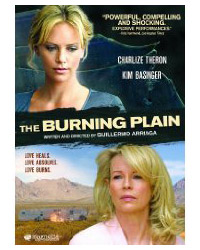 BurningPlain.jpg