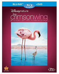 CrimsonWing.jpg