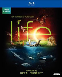 Life-US-BD-WEB.jpg