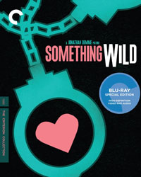 Something-Wild-BD-WEB.jpg