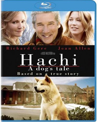 hachi.jpg