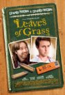 leaves.jpg