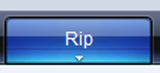 Windows Media Player Rip Button