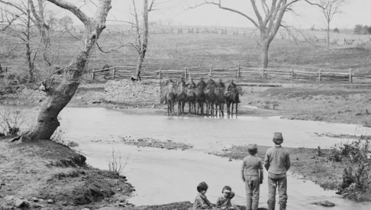 Fields-Valor-Civil-War-WEB-2.jpg