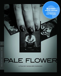 Pale-Flower-BD-WEB.jpg