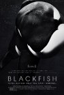 Blackfish.jpg