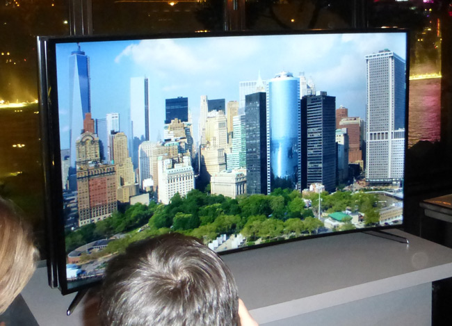 P1000140-bendable-tv.jpg