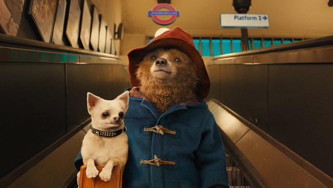 Paddington-still.jpg