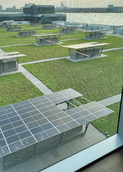 Javits-Roof-Solar_1.jpg