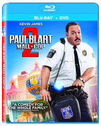 PaulBlart2.jpg