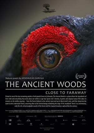 The_Ancient_Woods.jpg