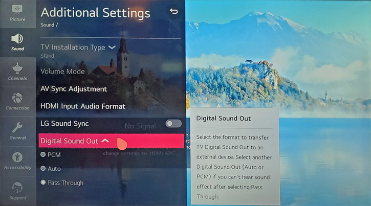 LG TV Audio Settings